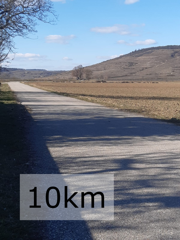 10km-Lauf